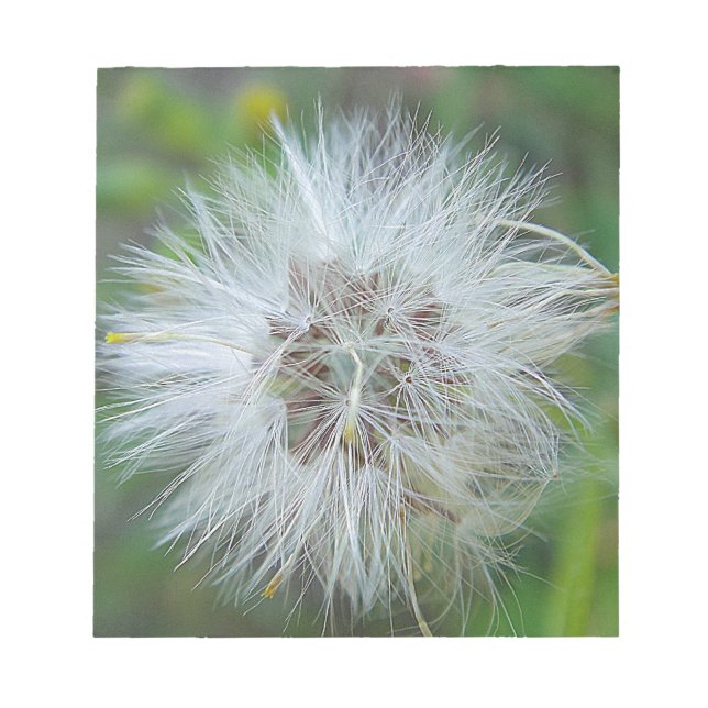 Weisse, zarte Wildblume Notepad (Front)