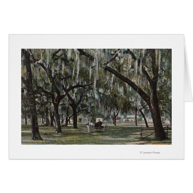 Welaka, FL - View of Welaka Park & Mossy Trees (Front Horizontal)
