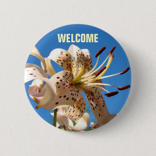 WELCOME buttons Slogan button Blue Sky Summer