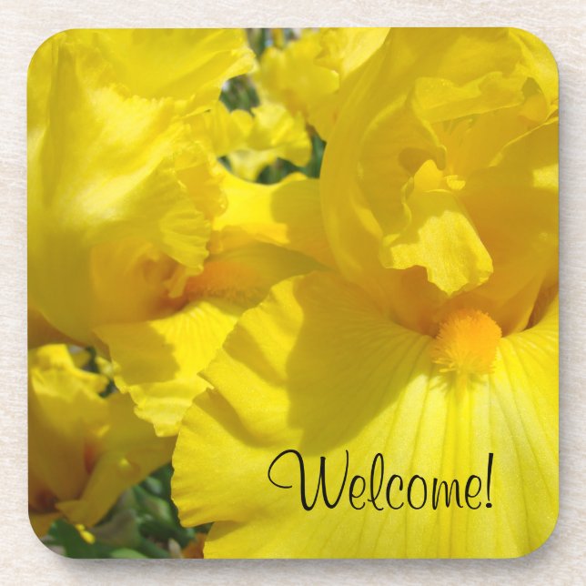 Welcome! drink coaster Yellow Iris Flowers Floral (Front)