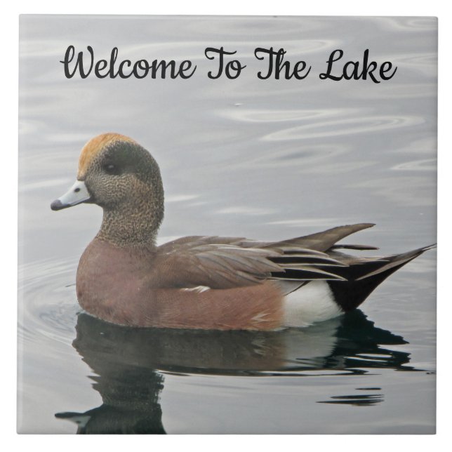 Welcome Duck Photo Wigeon Calm Water Lake House Ceramic Tile (Front)