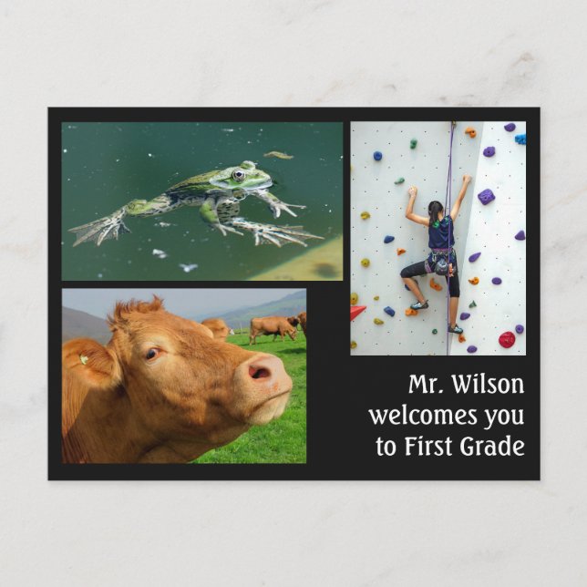 Welcome From the Teacher Custom Photos Postcard (Front)