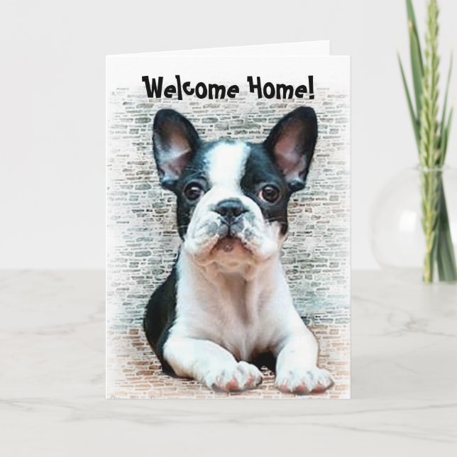 Welcome home French bulldog greeting card (Front)
