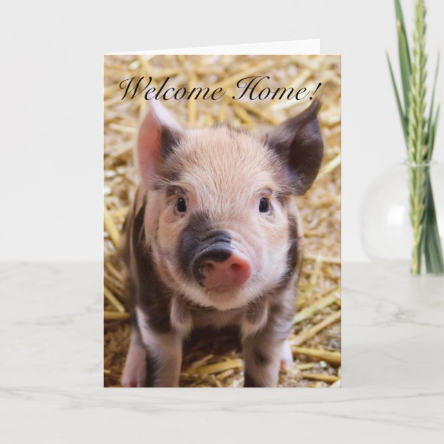 Welcome Home Piglet greeting card (Front)