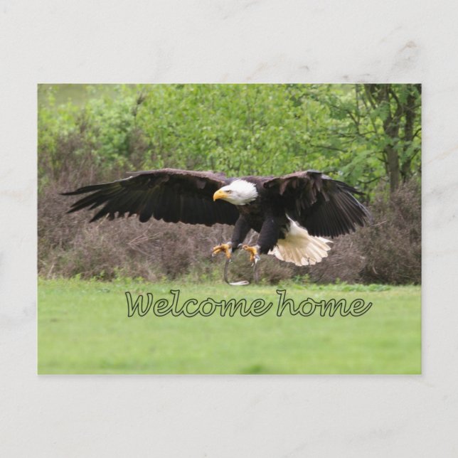 welcome home postcard (Front)