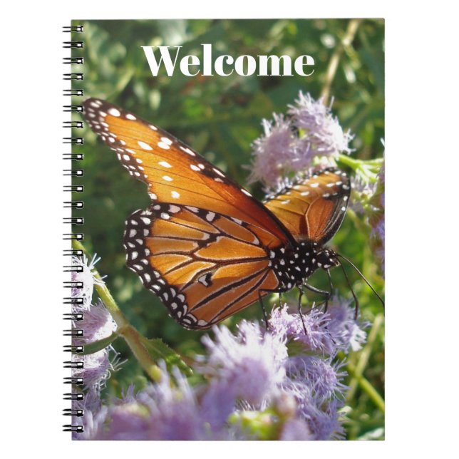 Welcome Monarch Butterfly Photo Guest Comment Notebook (Front)
