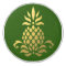 Welcome Pineapple Drawer Pulls - SRF