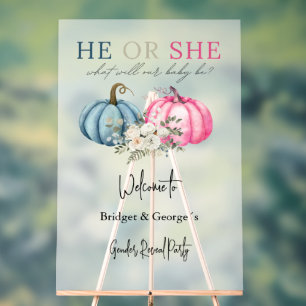 welcome pumpkin & baby gender reveal party frosted acrylic sign