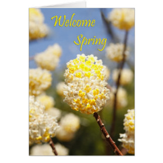 Welcome Spring