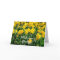 Welcome Spring-blank inside-greeting card