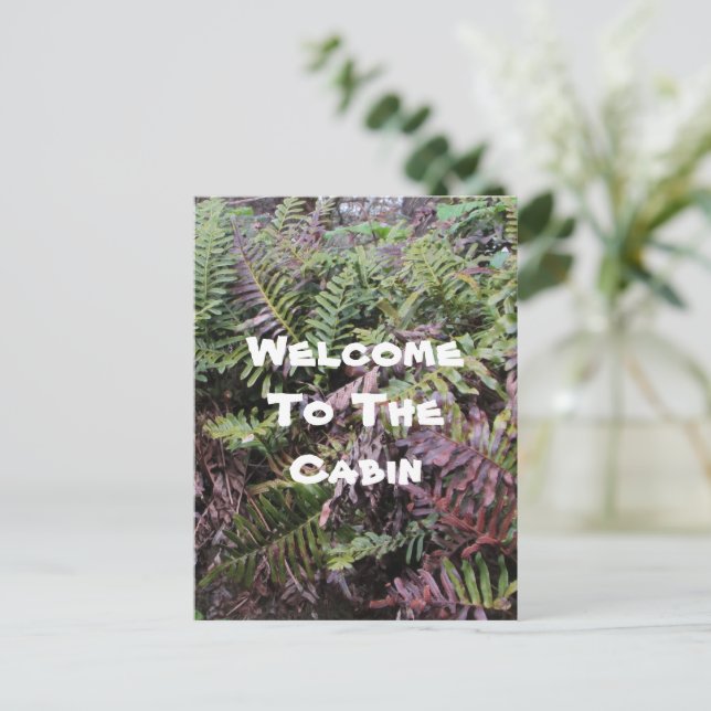 Welcome To Cabin Ferns Photo Forest Plant Guest Postcard (Standing Front)
