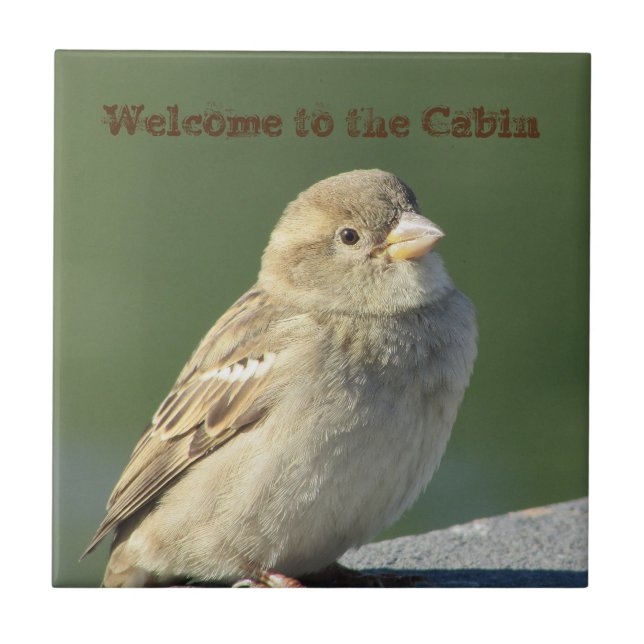 Welcome to Cabin Small Brown Sparrow Photo Bird Ceramic Tile (Front)