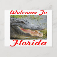 Welcome To Florida Gator