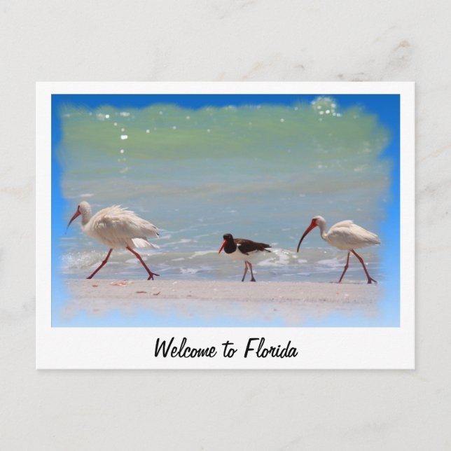 Welcome to Florida summer vacation postcard (Front)