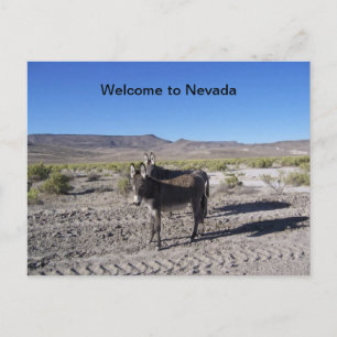 Welcome to Nevada Postcard with 2 burros