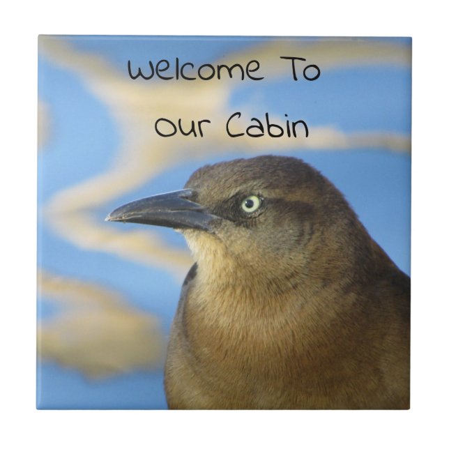 Welcome To Our Cabin Blackbird Photo Wildlife Ceramic Tile (Front)