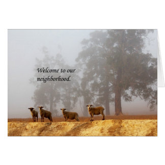 Welcome to our neighbourhood