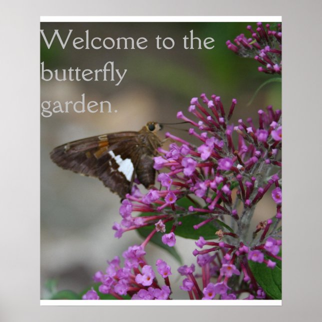 Welcome to the Butterfly Garden Poster--Skipper Poster (Front)