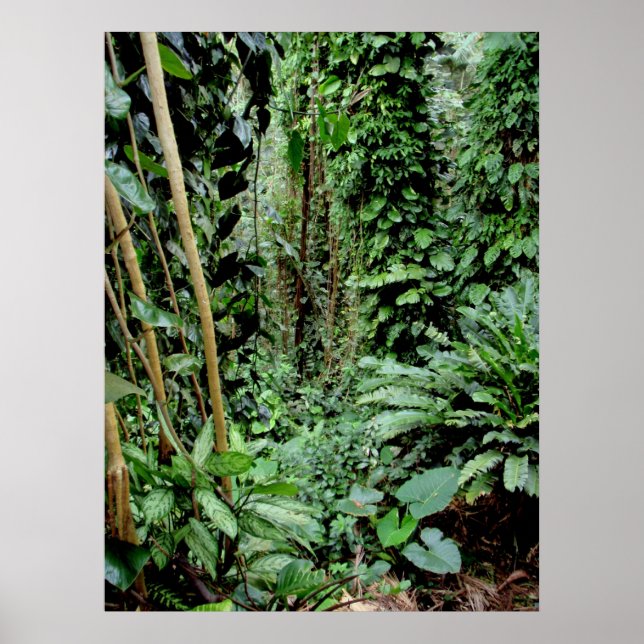 Welcome to the Jungle Poster (Front)