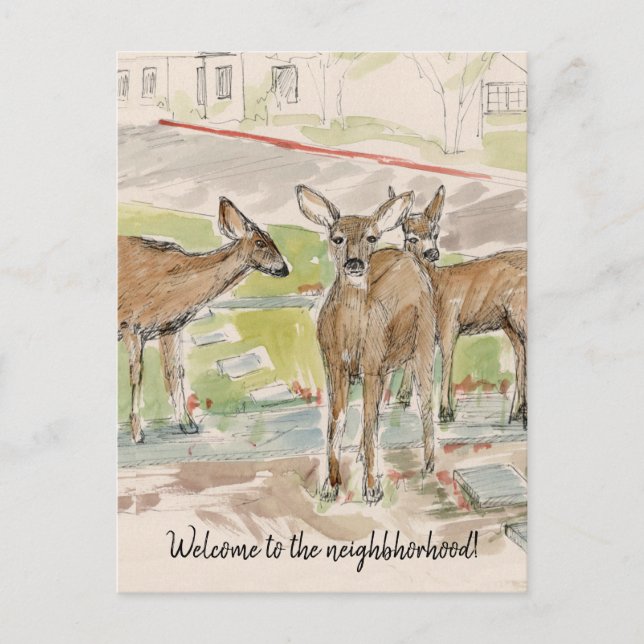 Welcome to the Neighbourhood Deer Lawn Postcard (Front)