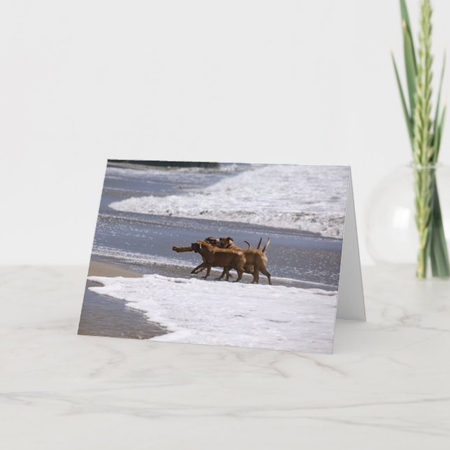 Welcome to the team! card (Front)