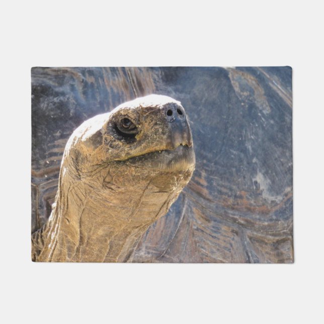Welcoming Tortoise-  Doormat (Front)