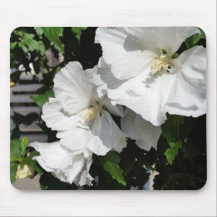 welcoming white flowers mouse pad