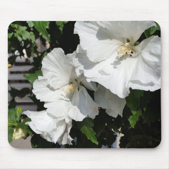 welcoming white flowers mouse pad (Front)