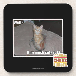 Well? Coaster