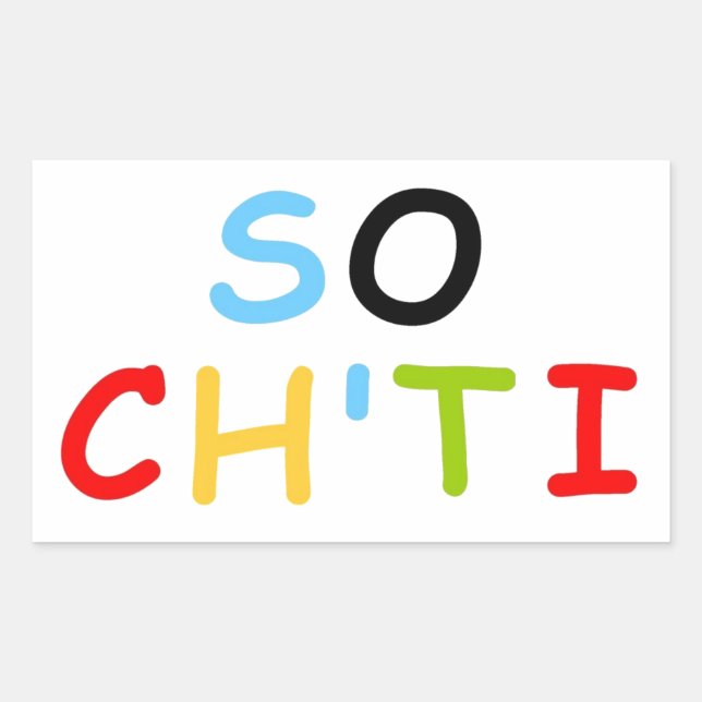 Well Done, the Ch'tis Rectangular Sticker (Front)