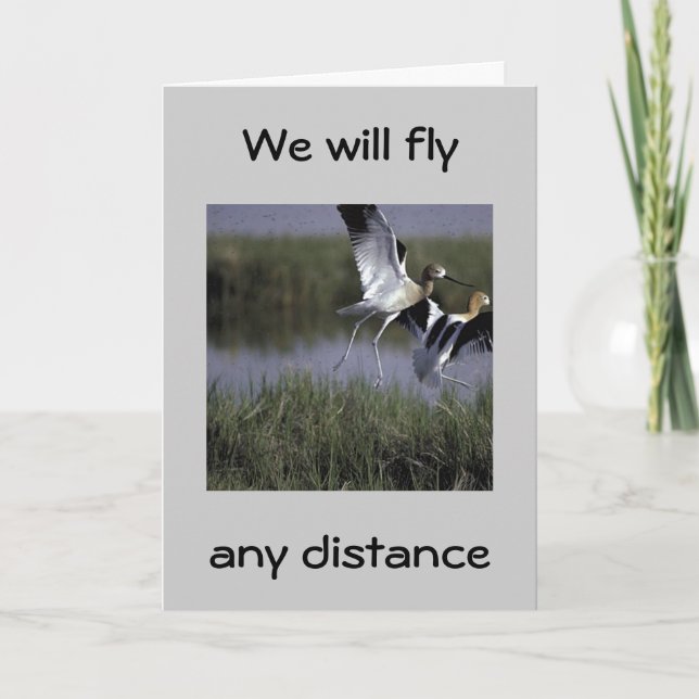 "WE'LL FLY ANY DISTANCE TO SAY HAPPY BIRTHDAY" CARD (Front)