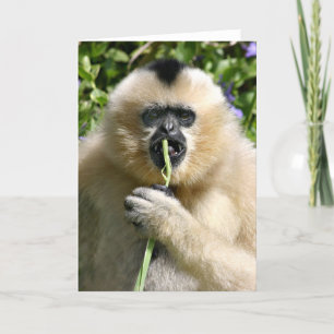 Well hello there card