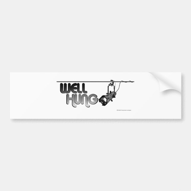 Well Hung (Ellipsoidal) Bumper Sticker (Front)