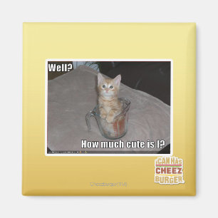 Well? Magnet