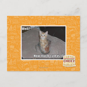 Well? Postcard