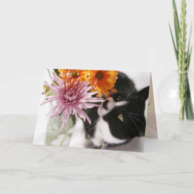 Well Wishes Card (Front)