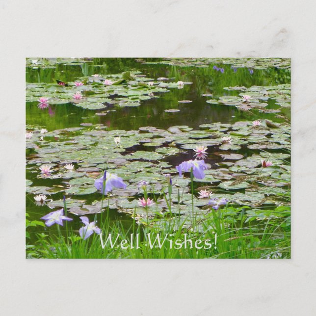 Well Wishes! Postcard (Front)