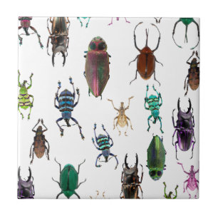 Wellcoda Beetle Type Habitat Insect Life Ceramic Tile