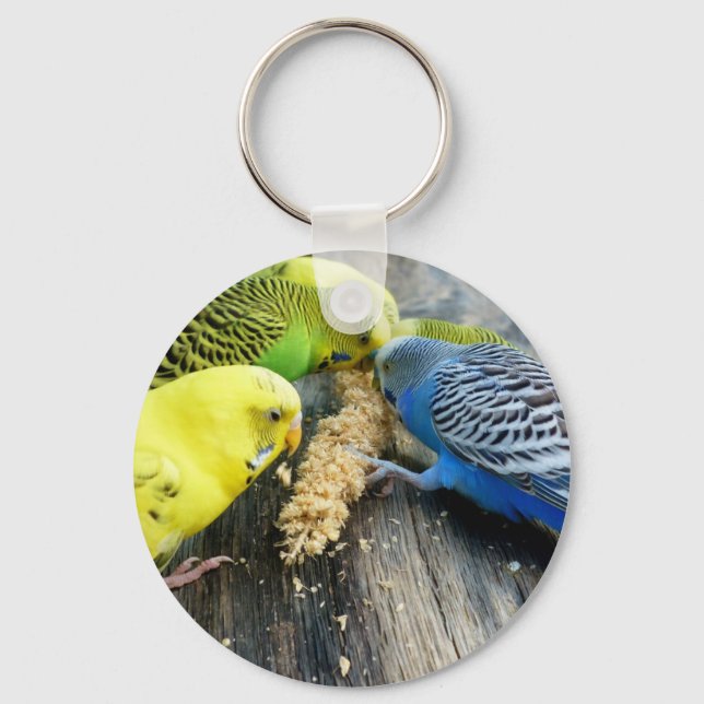 Wellensittiche (Melopsittacus undulatus) Key Ring (Front)