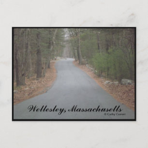 Wellesley, Massachusetts Postcard