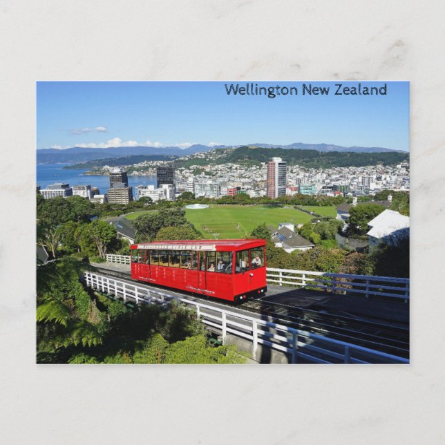 Wellington, New Zealand Postcard (Front)