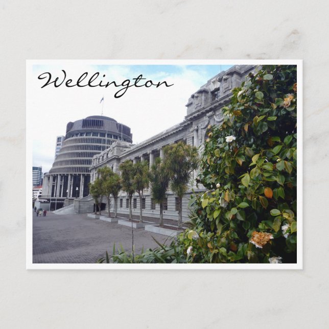 wellington parliament tree postcard (Front)
