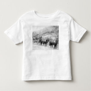 Wells Fargo Express Company Toddler T-Shirt