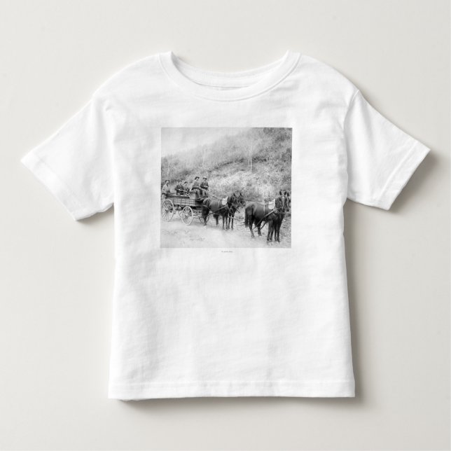 Wells Fargo Express Company Toddler T-Shirt (Front)