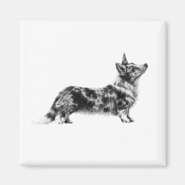 Welsh Cardigan Corgi magnet (Front)