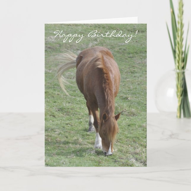 Welsh cob birthday card (Front)