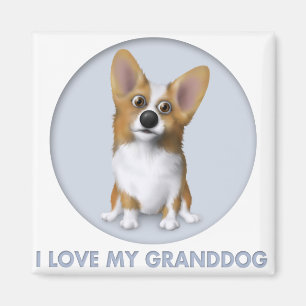 Welsh Corgi 1 Granddog Magnet