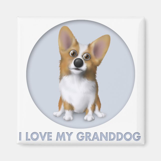Welsh Corgi 1 Granddog Magnet (Front)