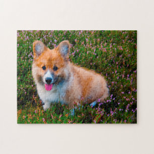 Welsh Corgi Dogs Jigsaws. Jigsaw Puzzle