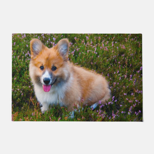 Welsh Corgi. Doormat (Front)